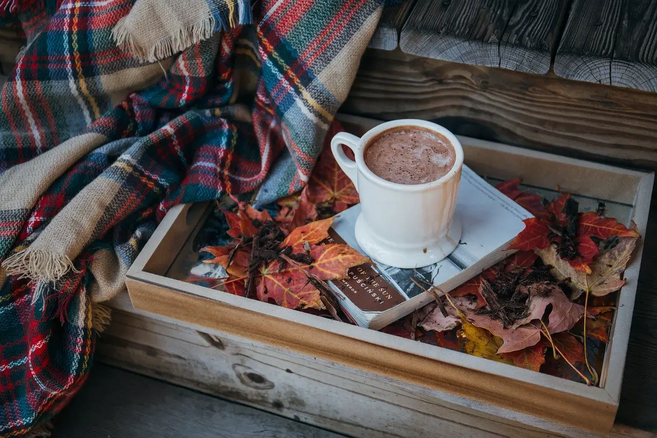 Homemade hot Chocolate with Whipped Cream Recipe