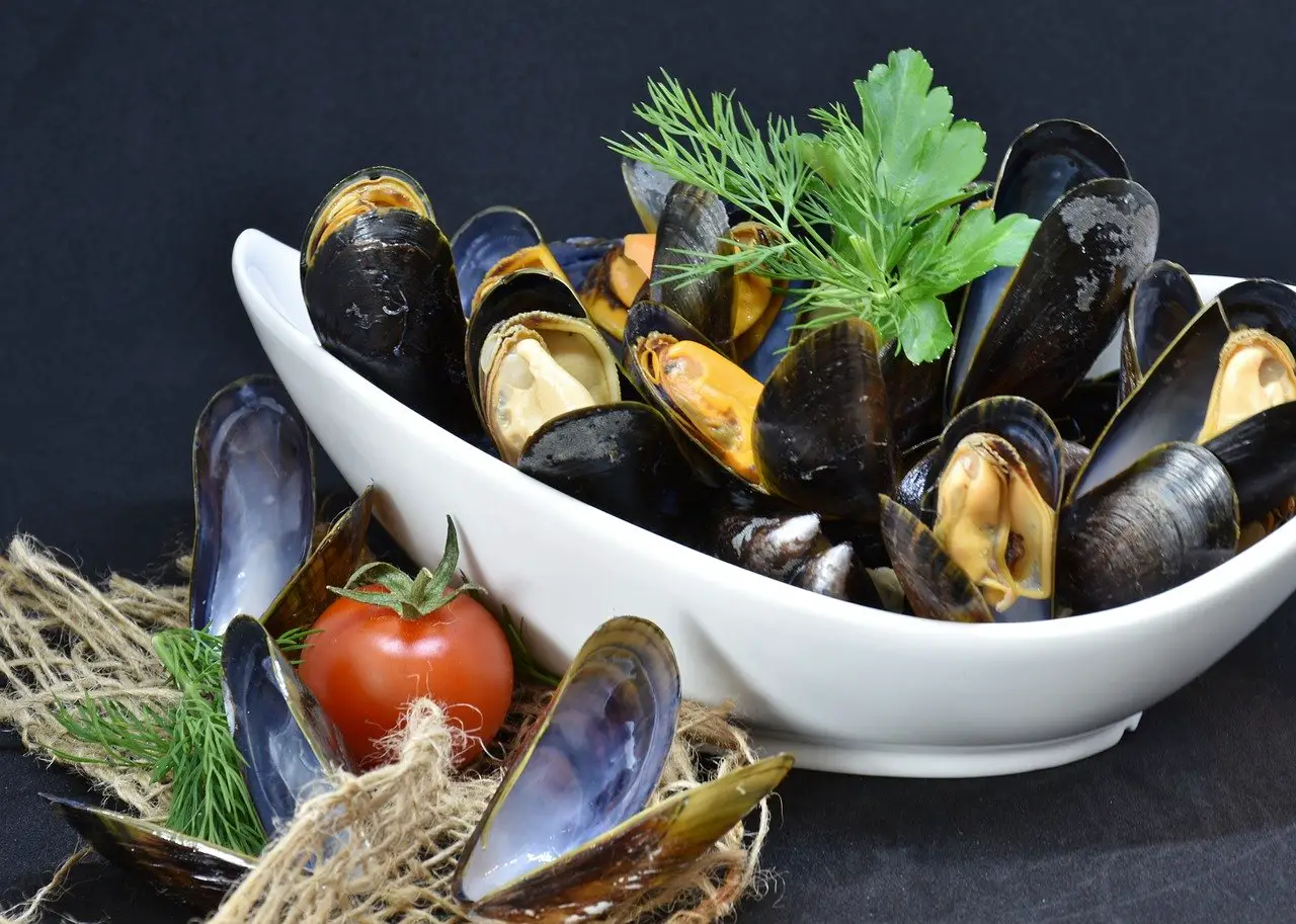 Pasta with Mussels and Salmon Recipe