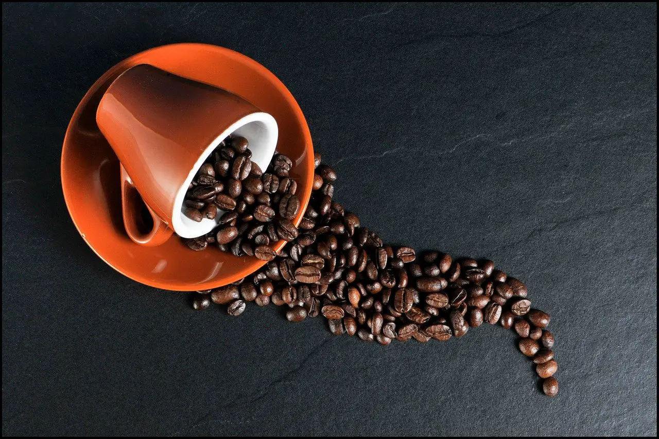 Är Kaffe Nyttigt? Här är Svaret