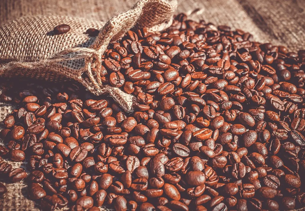 Så Väljer du Rätt Kaffebönor – En Komplett Guide