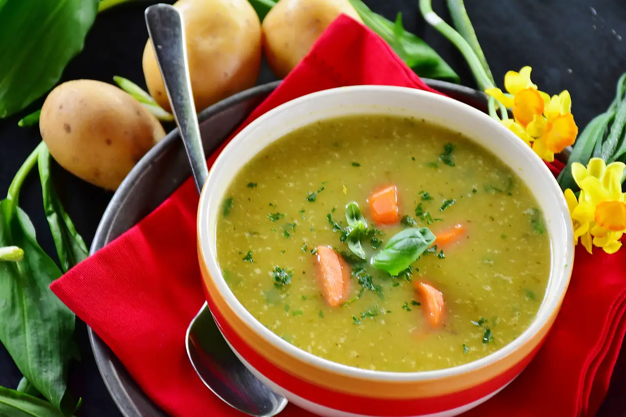 Vegetarian Vegetable Soup Recipe