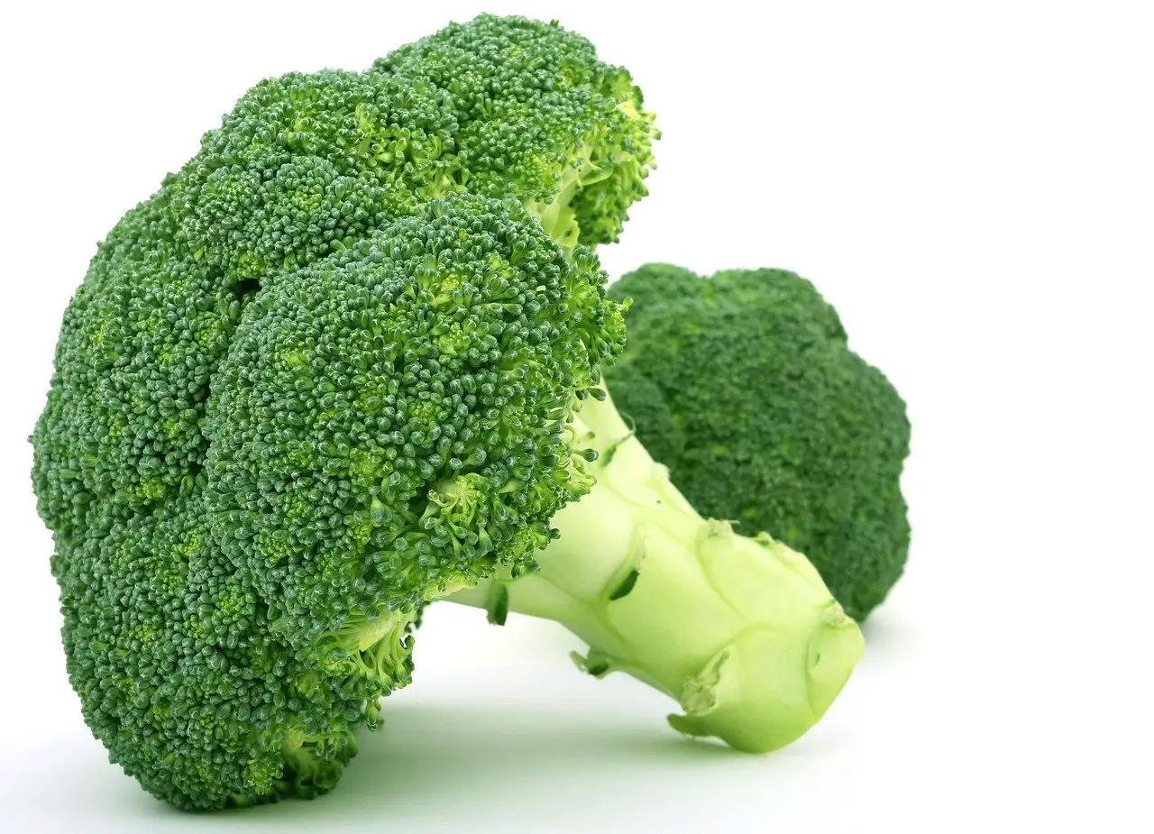 Kan du Äta Broccoli som Blivit Brun eller Gul?
