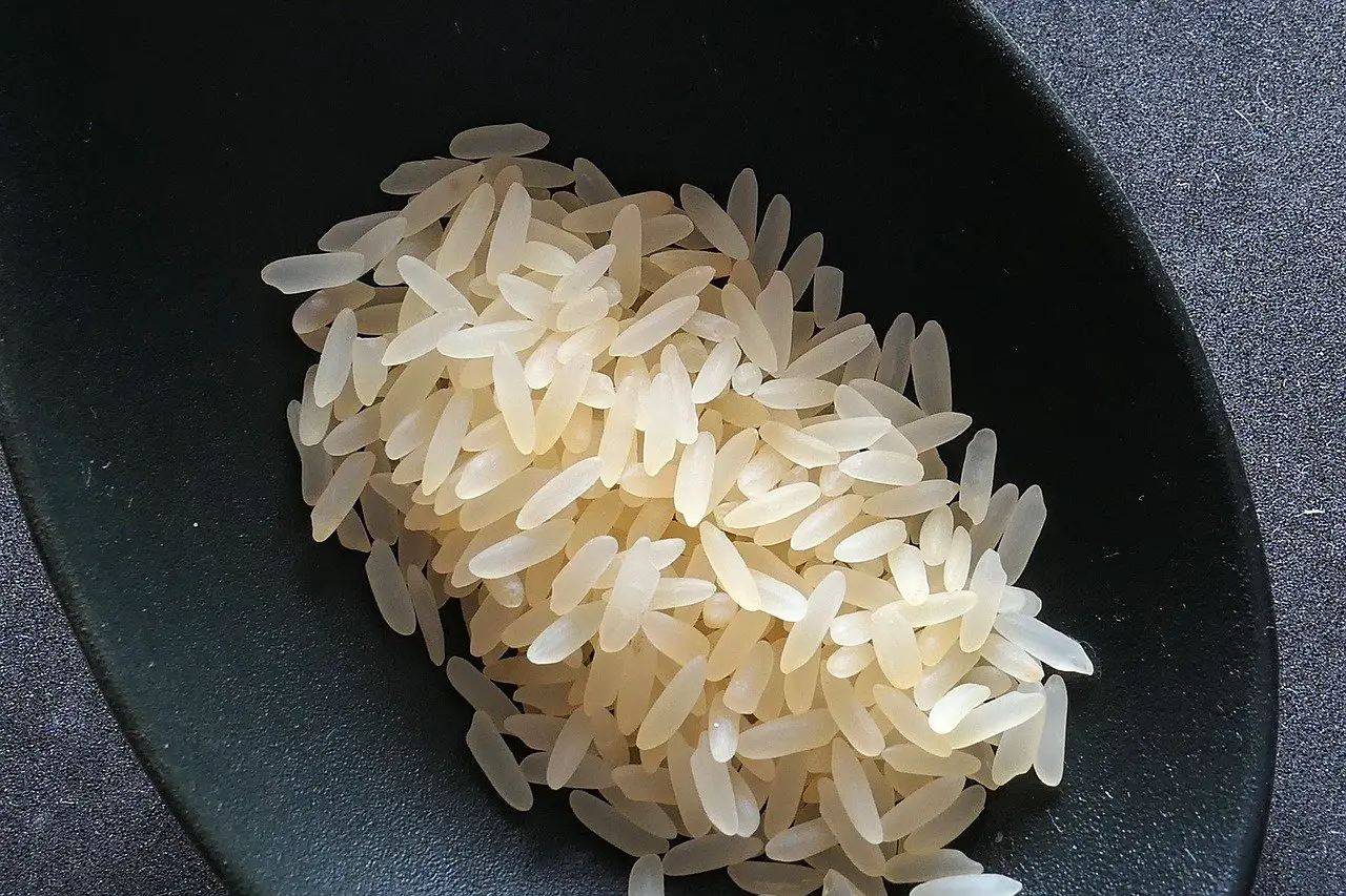 Är det Farligt att äta Okokt Ris?