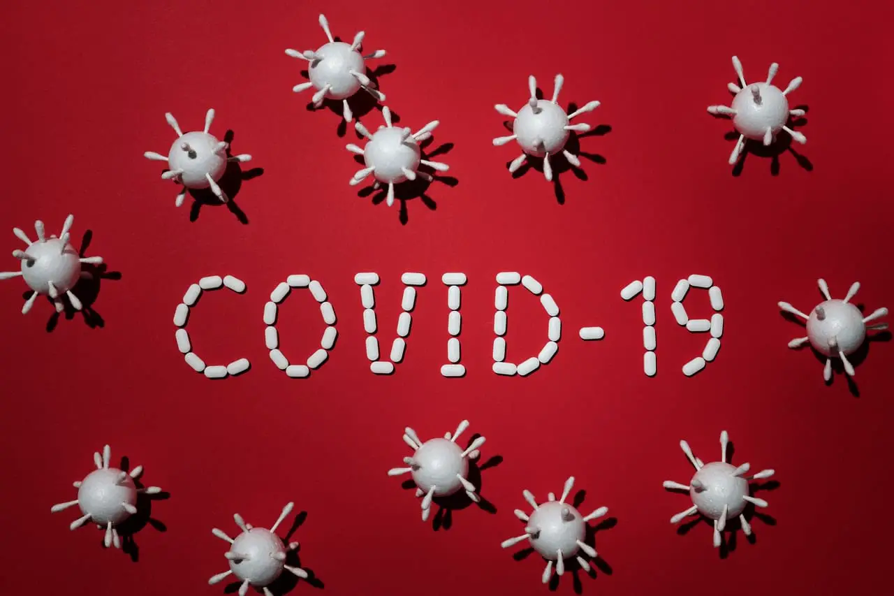 Coronavirus 101 |