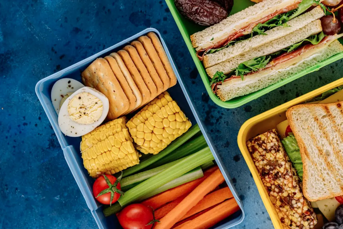 How to Choose a Good Lunch Box for Students and Schoolchildren